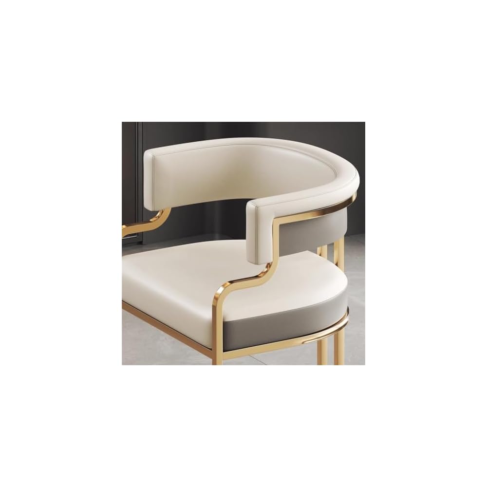 Dining Chair Household Hotel Mahjong Chair Reception Sofa Chair Nail Salon Stool Dressing Table Makeup