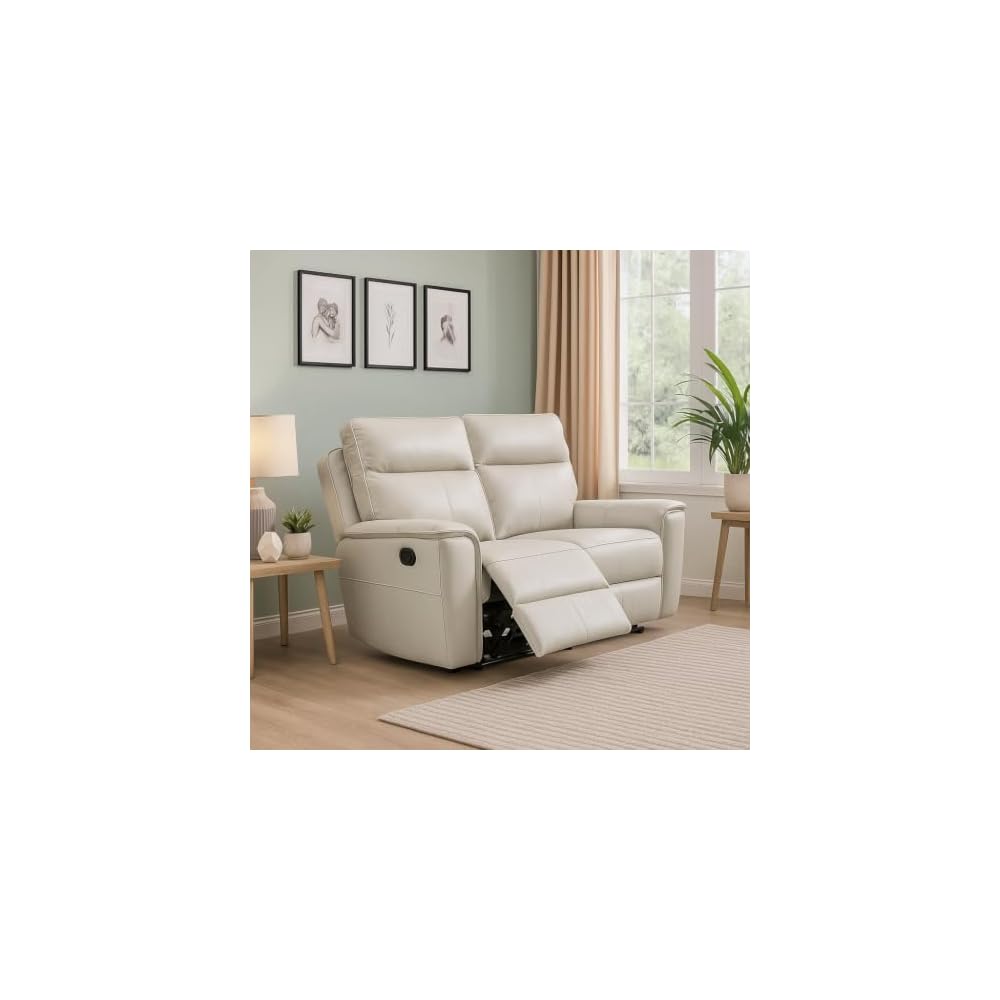 Aurex Leather 2 Seater Loveseat Living Room Furniture Set