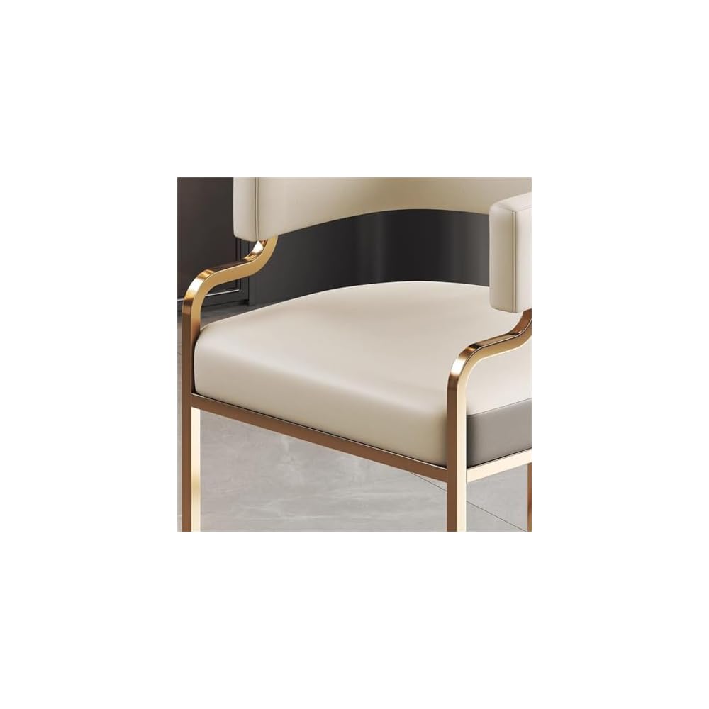 Dining Chair Household Hotel Mahjong Chair Reception Sofa Chair Nail Salon Stool Dressing Table Makeup